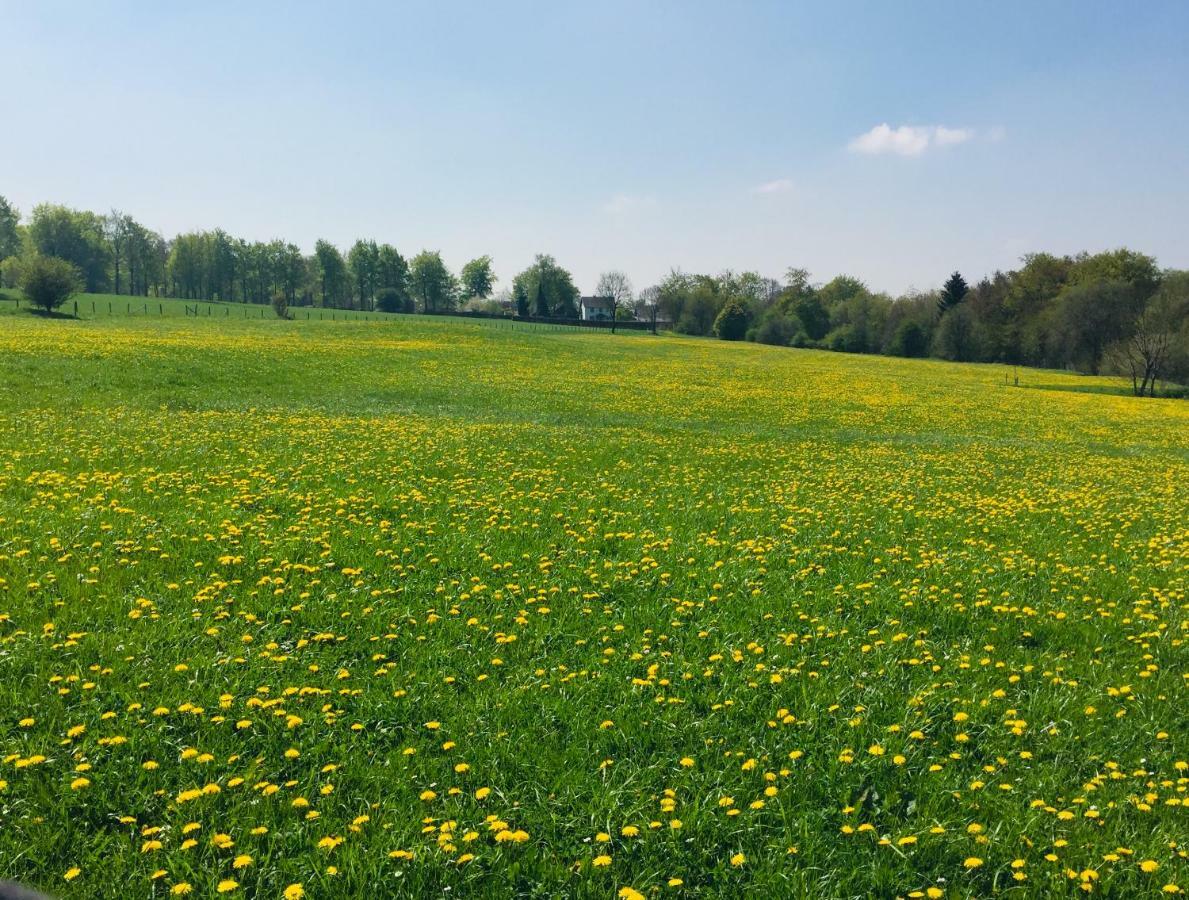 Ferienhaus Am Menzerather Weiher Monschau Dış mekan fotoğraf